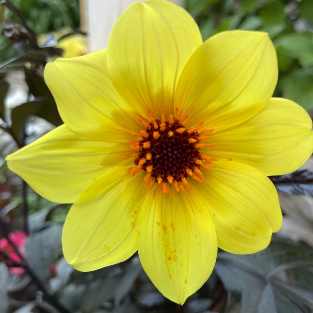 Meet your Posher, Kasia